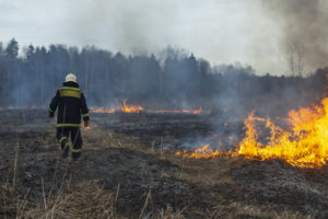 Bilden visar bekämpning av en skogsbrand, där det brinner i gräset samtidigt som en brandsoldat släcker en del av branden.