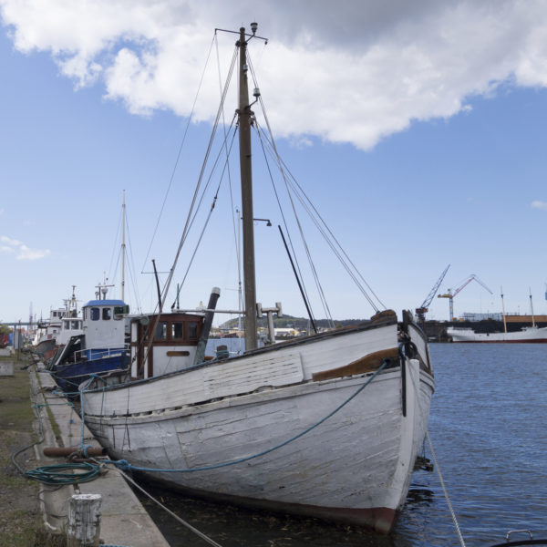 Fiskebåtar ligger vid kaj. Den närmaste är i trä och målad med vit färg. Foto: iStock