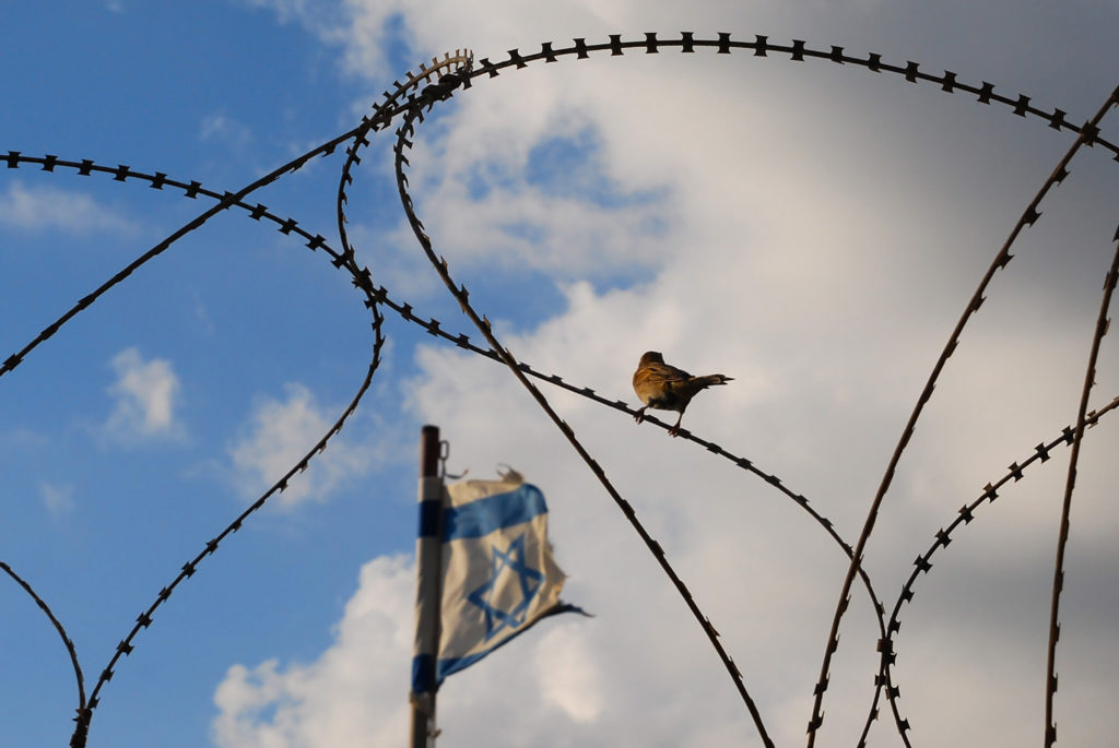 Himlen syns genom bukter av taggtråd. En israelisk flagga och en duva syns också i bilden. Foto: iStock