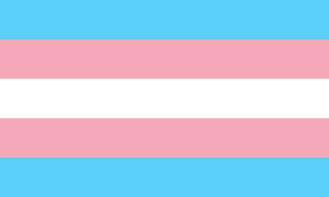 Flaggan transgender pride