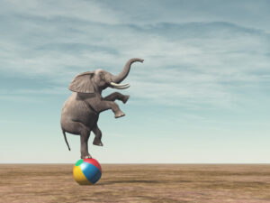 Surrealistisk bild med en elefant som balanserar på en badboll. Foto: iStock